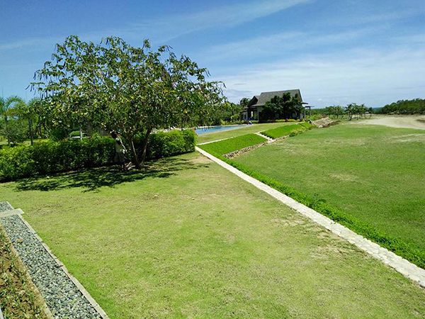 the landscape of the beach villas subdivision