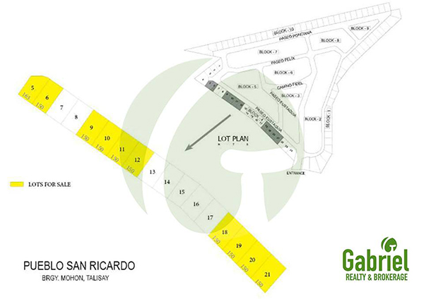 project development plan of san ricardo talisay