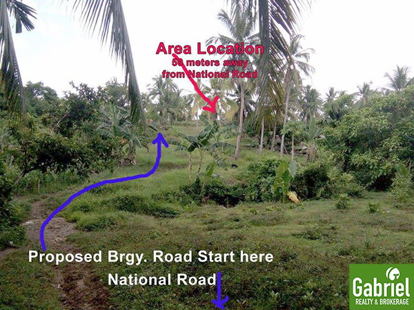 farm lot for sale in borbon