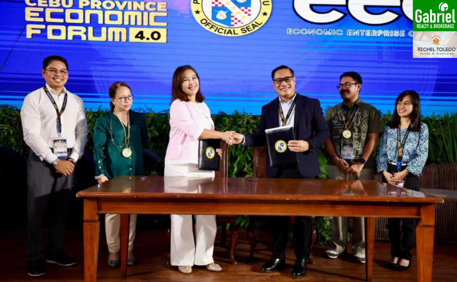 Cebu PPP projects